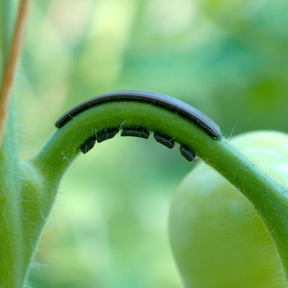 Die flexible Ausführung sorgt für optimale Unterstützung